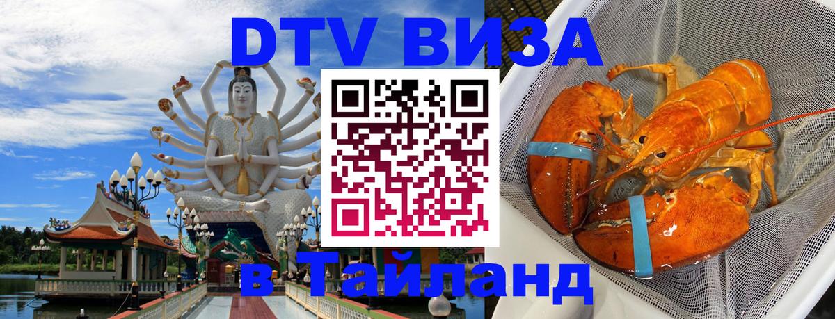 Сколько стоит DTV виза — актуальные цены, оформление даже без документов - Дзержинск  20.11.2025 